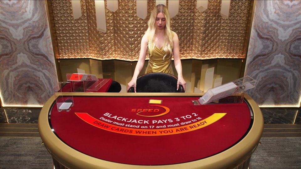 Blackjack VIP G